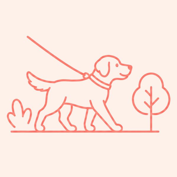dog-walking
