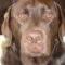 Lucy Lowther Avatar